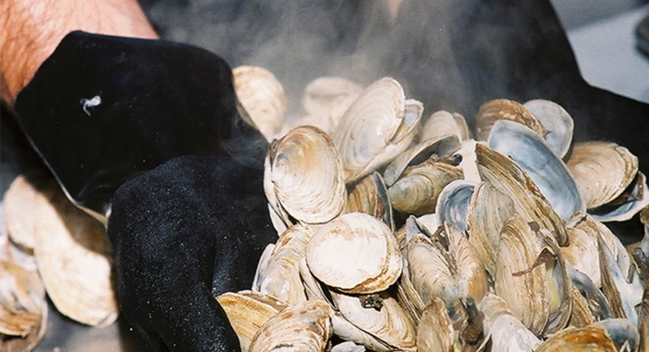 clams2